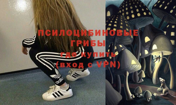 молекула духа Белокуриха