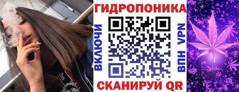 Бошки марихуана сатива  продажа наркотиков  Бугульма 